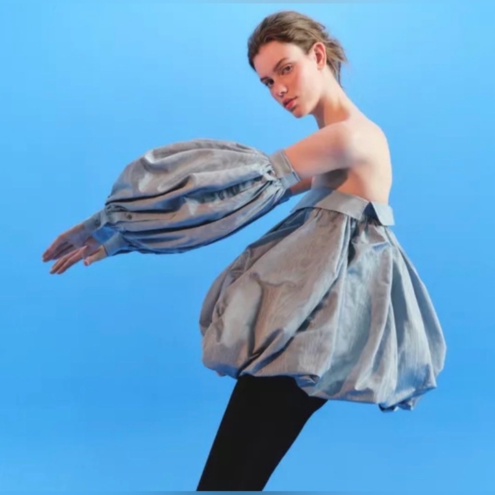 Zara Icons NWT Limited Edition balloon dress with sleeves - Picture 6 of 6